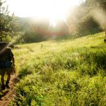 【事例付き】ストーリーライティングの重要性とその驚くべき効果とは？