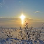 【事例付き】ハロー効果とは？評価を高める心理学のマーケティング活用方法。