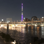 集客を仕組み化・自動化する事で得られる自由で素敵な未来と近況報告。